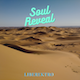 Soul Reveal Chill Ambient HipHop