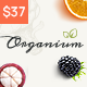 Organium | Healthy & Organic Food Woocommerce Theme - ThemeForest Item for Sale
