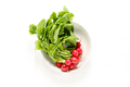 Fresh raw organic radish bunch with radish greens - PhotoDune Item for Sale