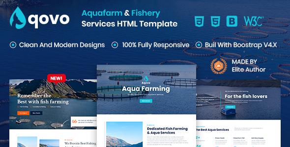 Aqua Website Templates from ThemeForest