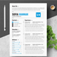 Simple and Clean Resume Template - GraphicRiver Item for Sale