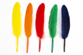 Set of colorful of feathers - PhotoDune Item for Sale