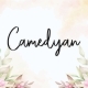 Camedyan - GraphicRiver Item for Sale