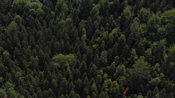 Aerial view of Saxon Switzerland Schrammstein aussicht, Bad Schandau, Germany