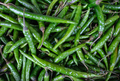 Background Of Green Chili Peppers - PhotoDune Item for Sale