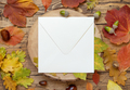 Square envelope near autumn leaves and berries on wooden table top view, rustic mockup - PhotoDune Item for Sale