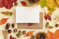 Card near autumn leaves and berries on light yellow table top view, rustic mockup - PhotoDune Item for Sale