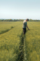 Farmer agronomist in cultivated green barley field looking over crops, vertical image - PhotoDune Item for Sale