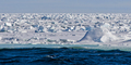Sea Ice, Edge of Pack Ice 80º N, Norway - PhotoDune Item for Sale