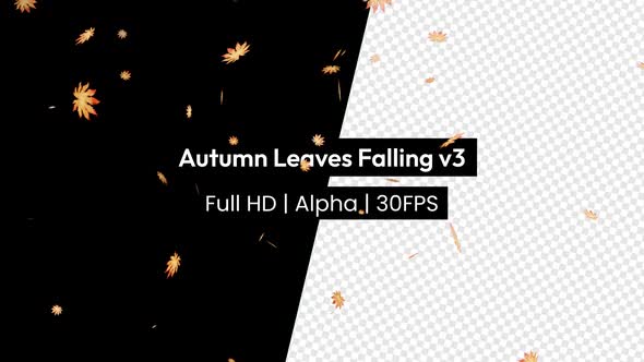 Autumn Leaf Leaves Falling with Alpha v3