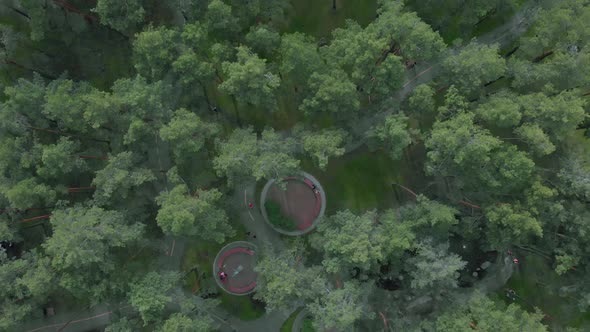 Green city park with pine trees, footpaths, benches and people walking around and resting