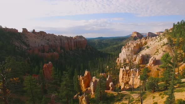 American Western Forest in a Canyon