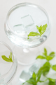 Transparent cocktail with ice cubes in a glass decorated with mint leaves close up - PhotoDune Item for Sale