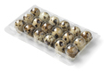 Plastic box with raw Quail eggs close up on white background - PhotoDune Item for Sale