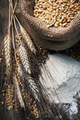 Wheat, flour and grain still life - PhotoDune Item for Sale