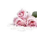 Beautiful pastel pink roses bunch and elegant bridal pearls - PhotoDune Item for Sale