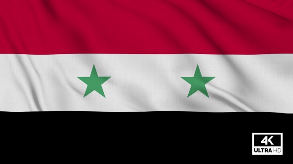 Syria Flag Waving Slowly Looped