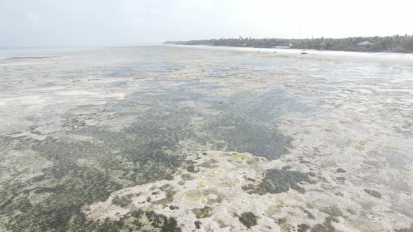 Aerial View of Low Tide in the Ocean Near the Coast of Zanzibar Tanzania