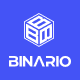 Binario - Digital Solutions WordPress Theme - ThemeForest Item for Sale