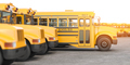 Yellow school buses in a row. - PhotoDune Item for Sale