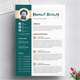 Modern Resume Template and Format - GraphicRiver Item for Sale