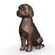 Lagotto Romagnolo - 3DOcean Item for Sale