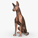 Podenco Canario - 3DOcean Item for Sale