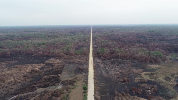 Transpantaneira road and Pantanal after fire black vegetation