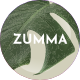 Zumma - Multipurpose WooCommerce Theme - ThemeForest Item for Sale
