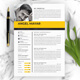 Resume CV Template | HR CV Download Word Resume Format - GraphicRiver Item for Sale