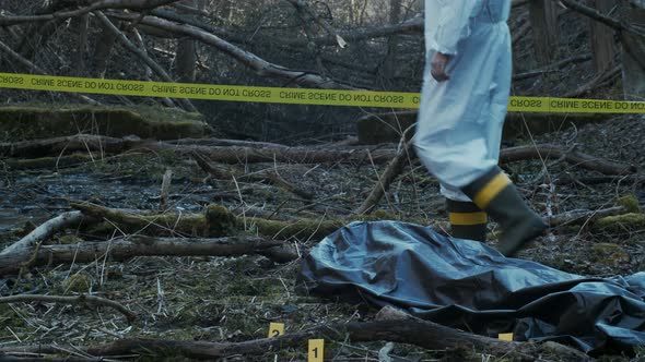 Forensic specialists working in the forest. Crime scene and police concept.