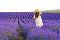 Young woman in a white dress walking in a lavender field - PhotoDune Item for Sale