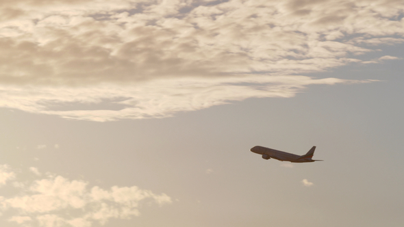 Plane Flying in the Light of Bright Evening Sun