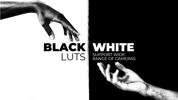 Black and White LUTs for Final Cut alt