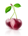 Isolated heart shaped cherries - PhotoDune Item for Sale