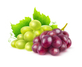Isolated red and white grapes - PhotoDune Item for Sale