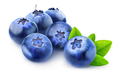 Isolated blueberries - PhotoDune Item for Sale