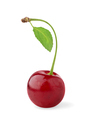 One isolated cherry fruit - PhotoDune Item for Sale