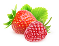Isolated strawberry and raspberry - PhotoDune Item for Sale