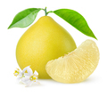 Isolated pomelo fruit - PhotoDune Item for Sale