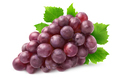 Isolated red grapes - PhotoDune Item for Sale