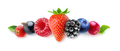 Isolated fresh berries in a row - PhotoDune Item for Sale