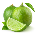 Isolated cut limes - PhotoDune Item for Sale