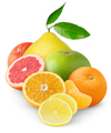Isolated citrus fruits pile - PhotoDune Item for Sale