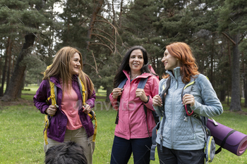 Group of mature women walking and exploring the forest.