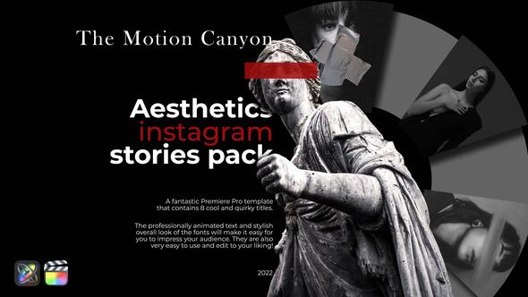 Aesthetics Instagram Stories. alt