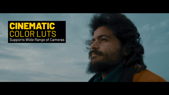 Cinematic LUTs for Final Cut alt
