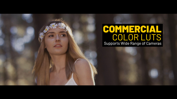 Commercial LUTs for Final Cut alt