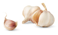Isolated garlic - PhotoDune Item for Sale