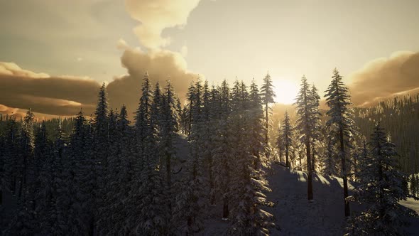 Majestic Winter Landscape Glowing By Sunlight